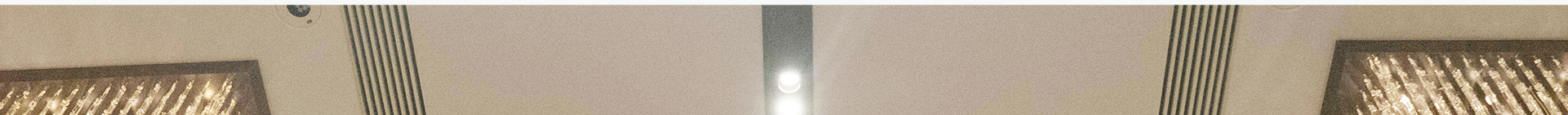 plf_19.jpg
